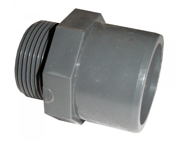 bowi-1239161