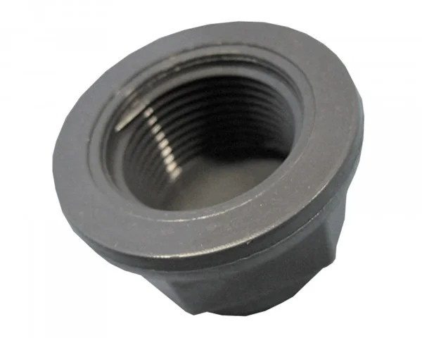 bowi-1239591