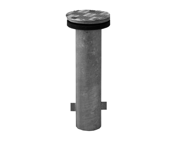 bowi-1240508