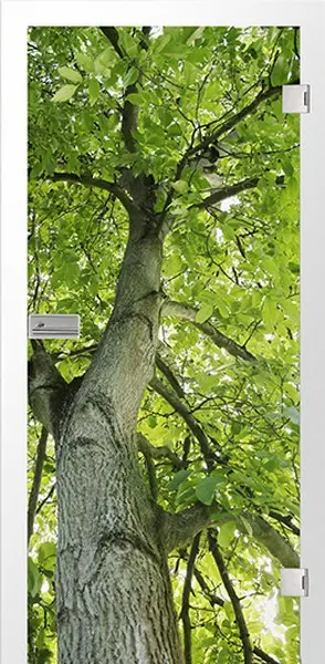 deinetuer-1259701