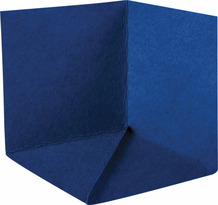 hgc2-1381495