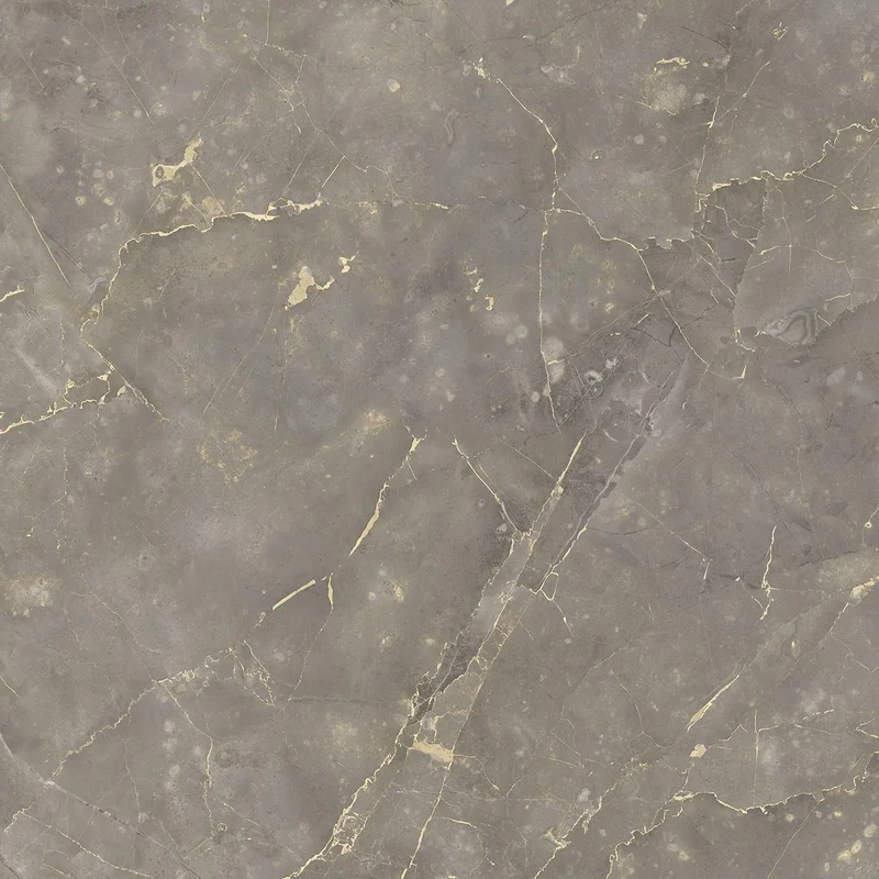 hgc3-1309650