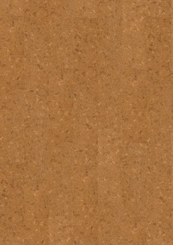 koempf24-1164654