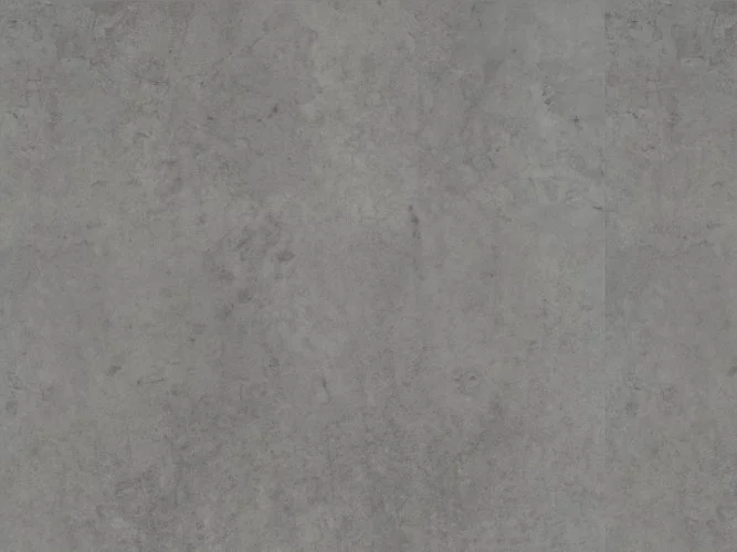koempf24-1170740