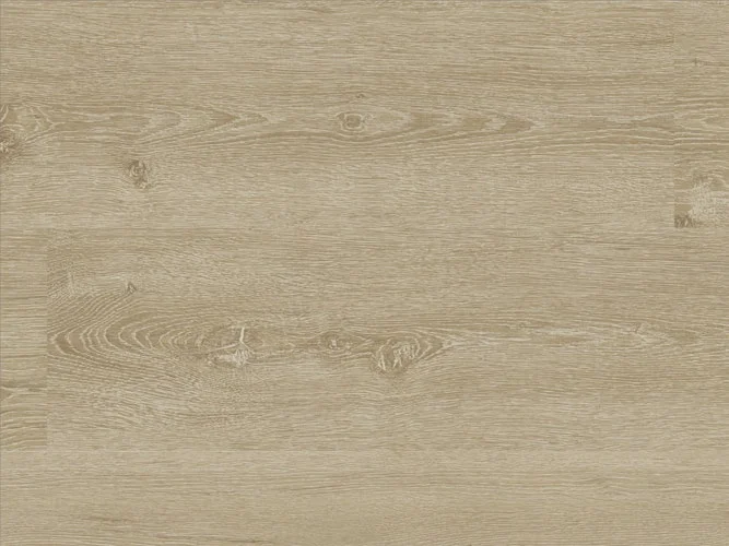 koempf24-1170750