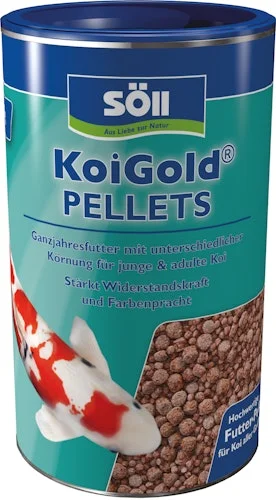 koempf24-1180658