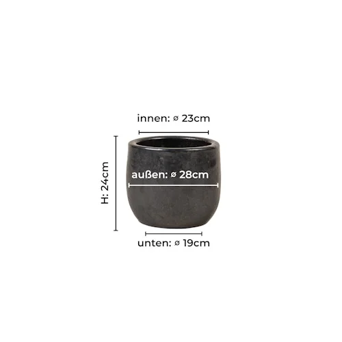 koempf24-1185743