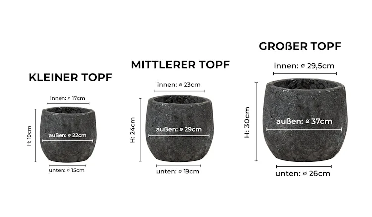 koempf24-1185749