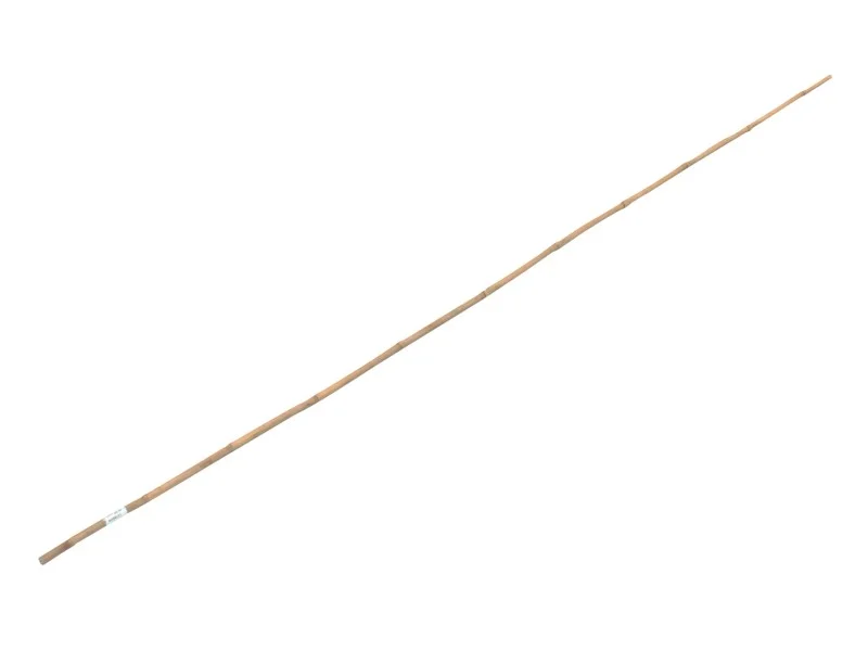 obi2-1038244
