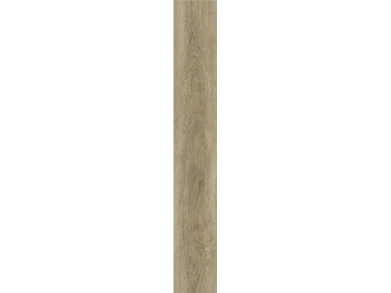 obi3-1037262