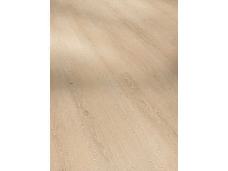 obi3-1098801