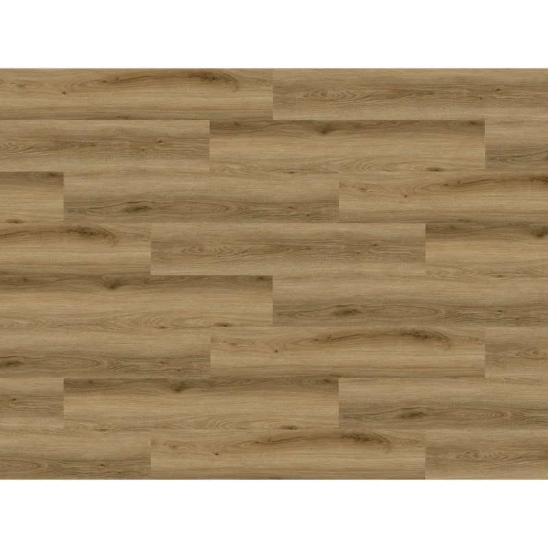 obi3-1101506