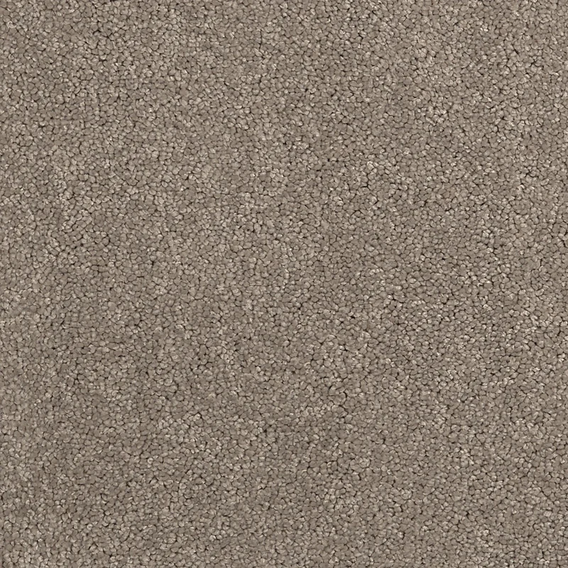 obi3-1128041