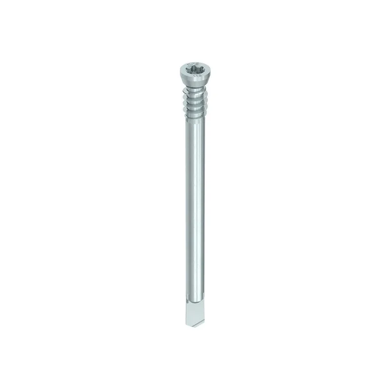 ramo-handels1-1280277