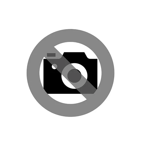 sanitaerschweiz31211753